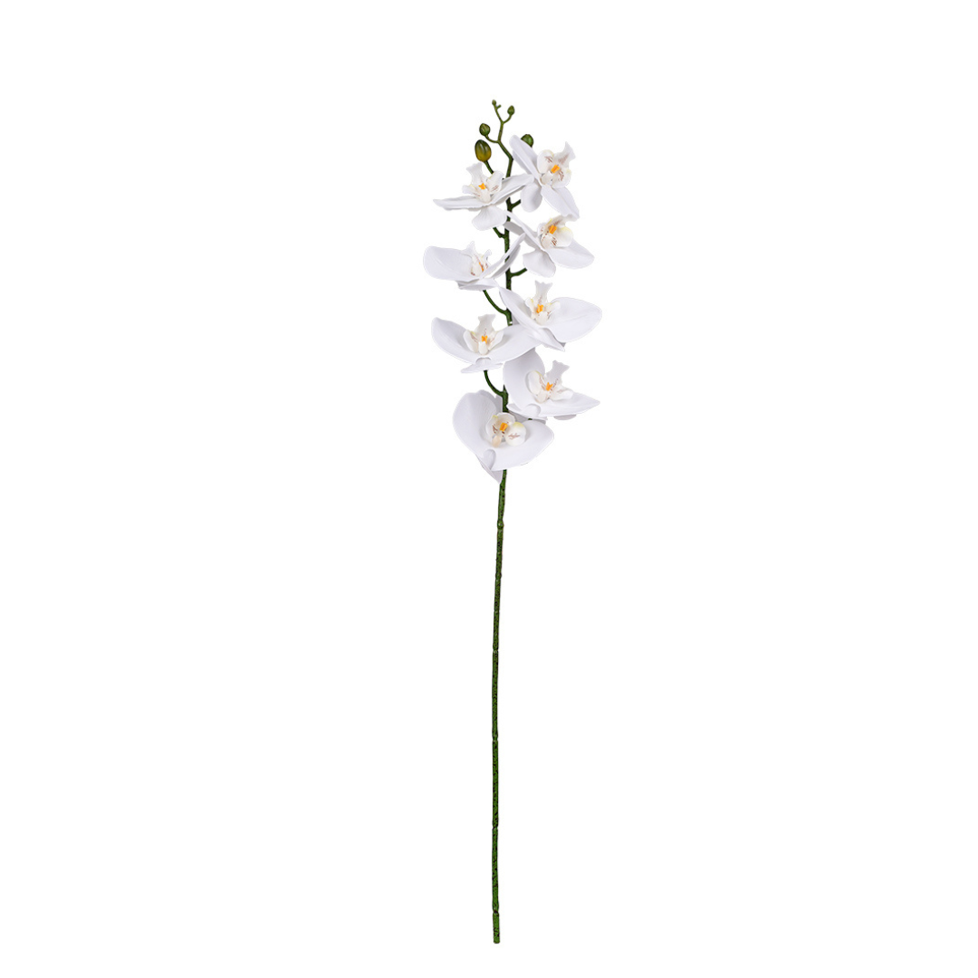 Phalaenopsis Orchid White - 86cm