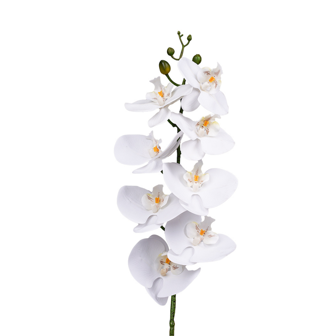 Phalaenopsis Orchid White - 86cm