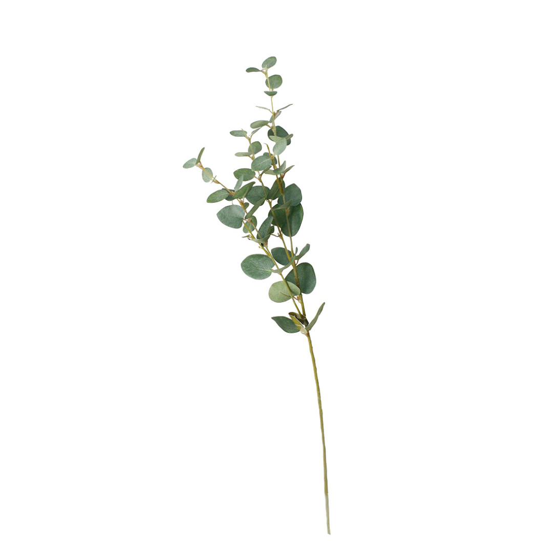 Silver Dollar Eucalyptus Stem Natural Green - 80cm