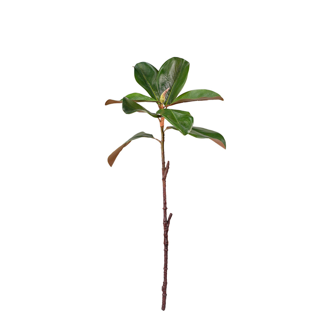 Magnolia Leaf Spray - 59cm