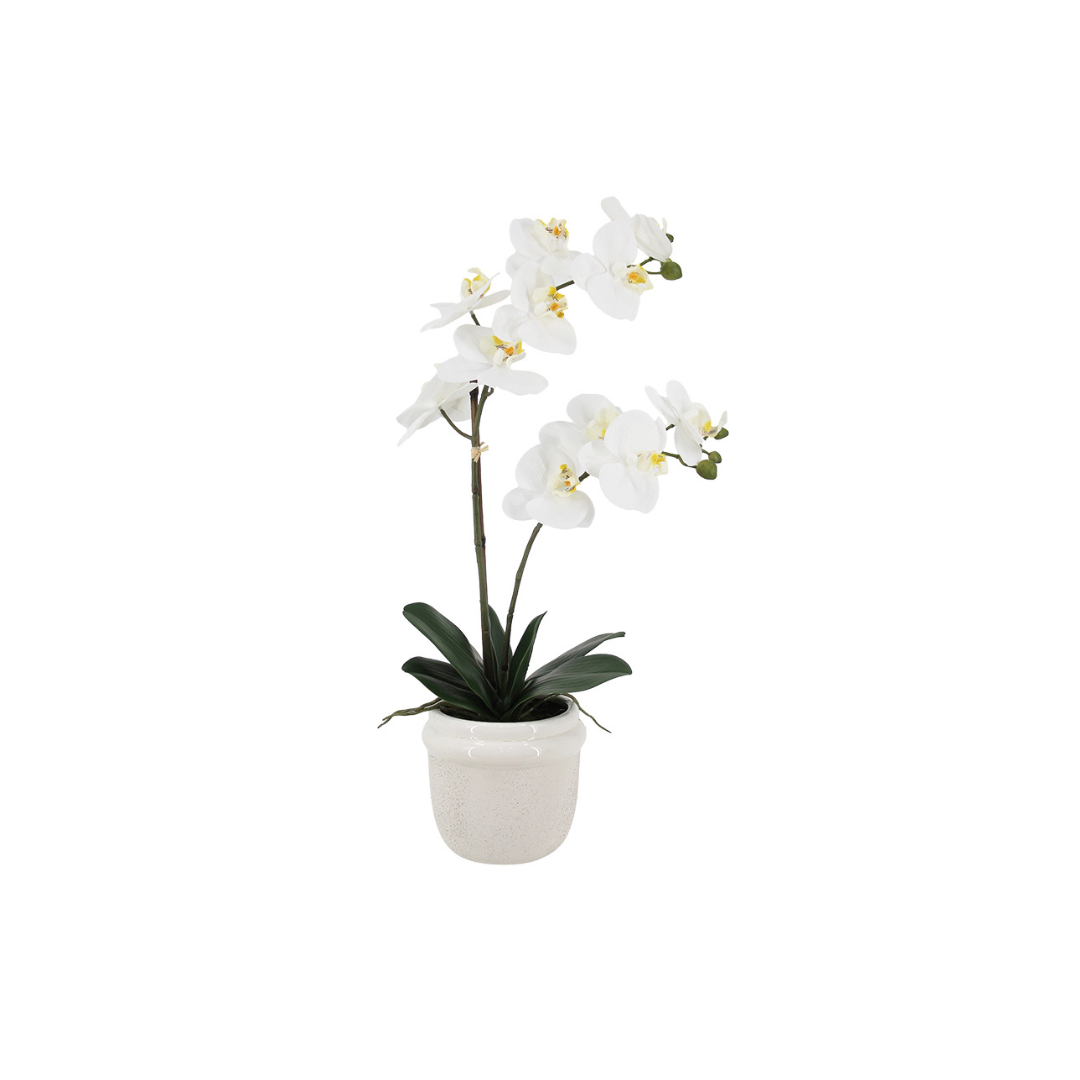 White Phalaenopsis Orchid in Ceramic Pot – 58cm