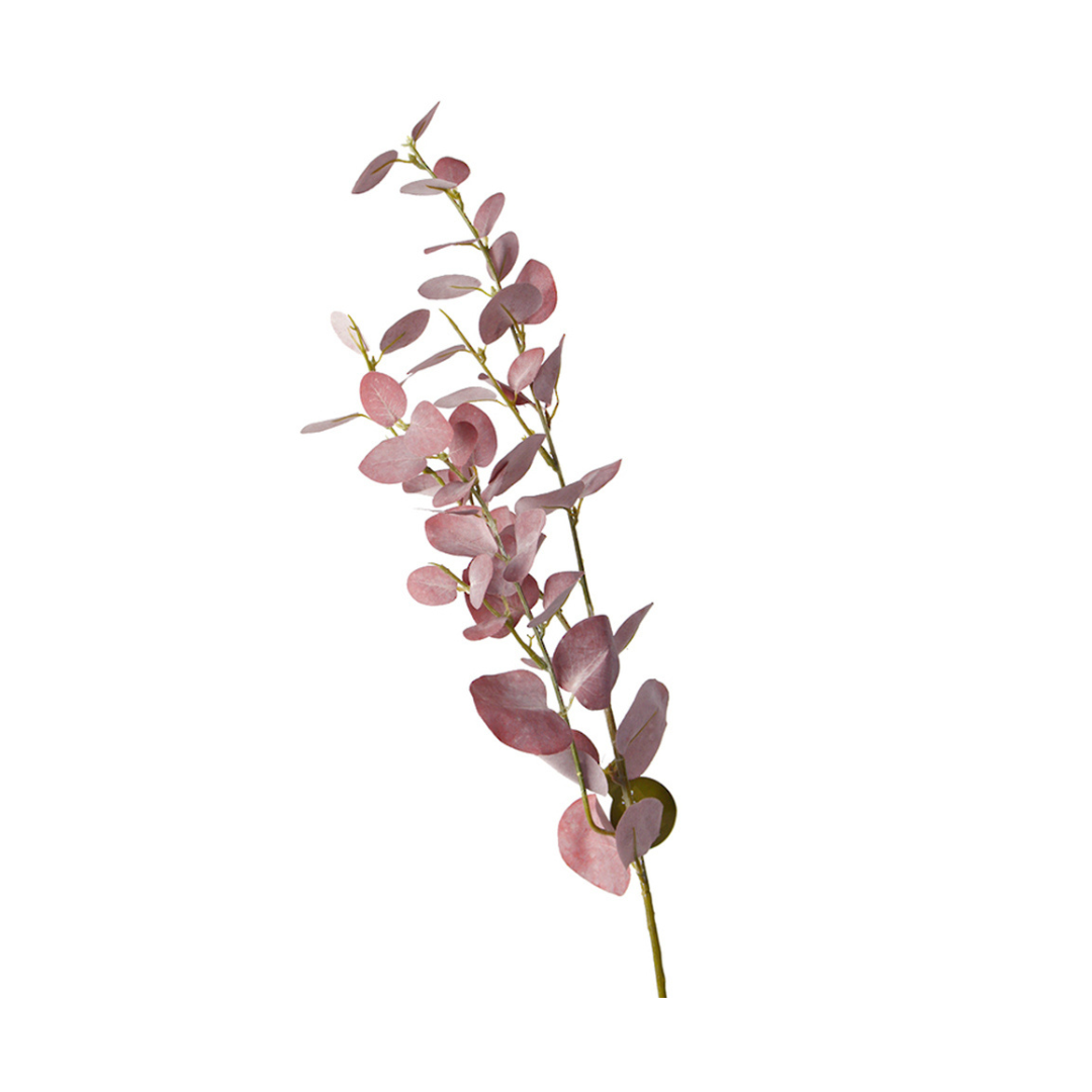 Blush Eucalyptus Spray Stem – 80cm