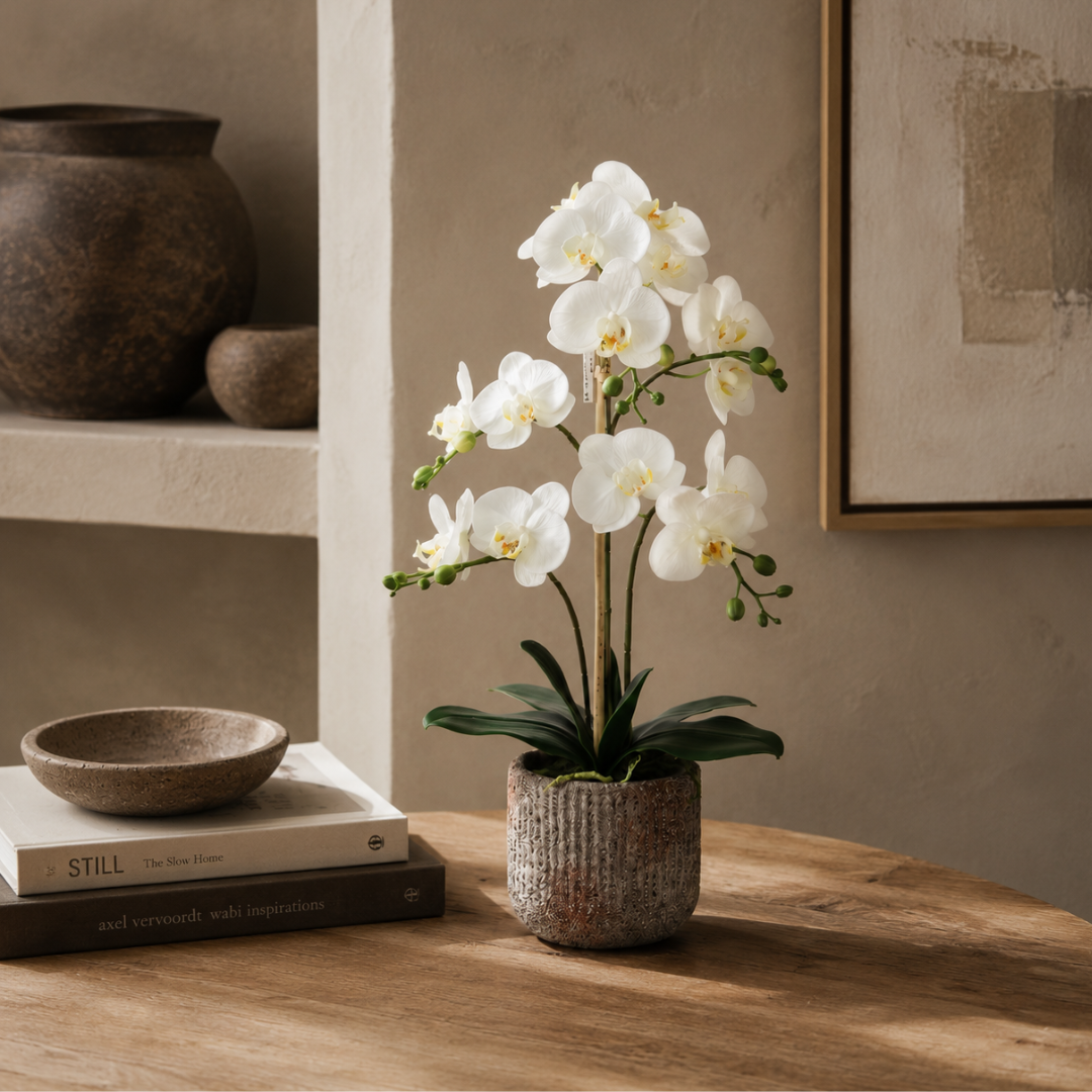 Phalaenopsis Orchid Arrangement with Rustic Pot - White 61cm