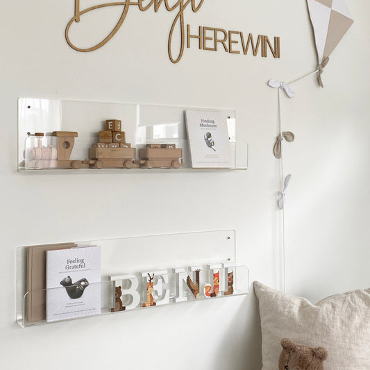 Acrylic Bookshelf