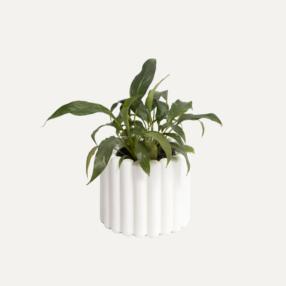 Alto Vase - White